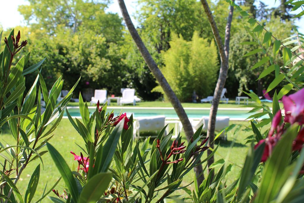 L'islo Bamboo Apartment Saumane-de-Vaucluse